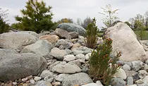 Naturally Rounded Glacial Boulders
