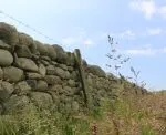 Naturally Rounded Walling Stone