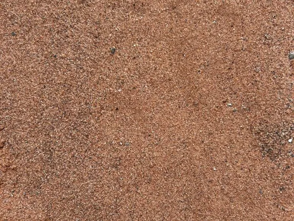 Washed Building Sand